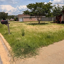 Overgrown-Lawn-Reset-and-Routine-Maintenance-in-Oxford-MS 3